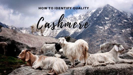 Understanding Cashmere + How to Identify Quality Cashmere-Jet&Bo