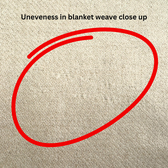 'Your New Best Friend' Cashmere Travel Blanket Sand // second-Jet&Bo