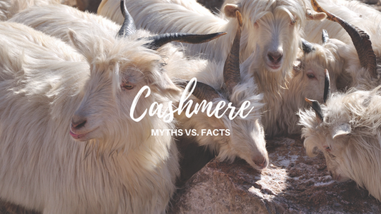 Cashmere Myths vs. Facts-Jet&Bo