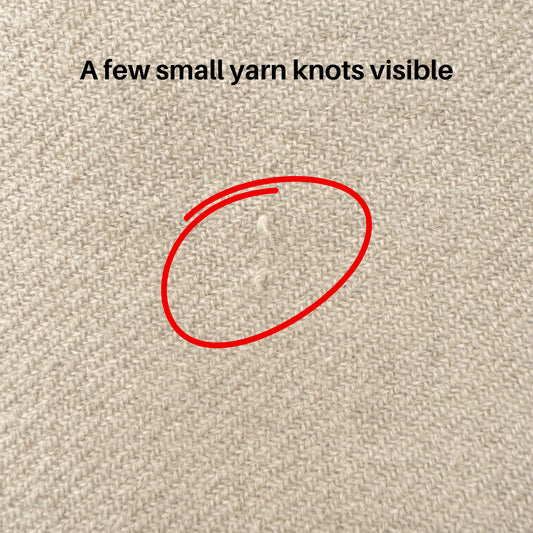 'Your New Best Friend' Cashmere Travel Blanket Sand // second